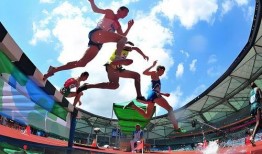 体育圈很乱天涯